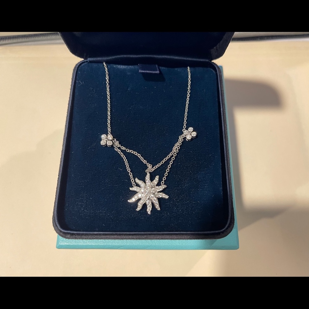 Tiffany & Co. Platinum & Diamond "Lace Sunburst" Necklace